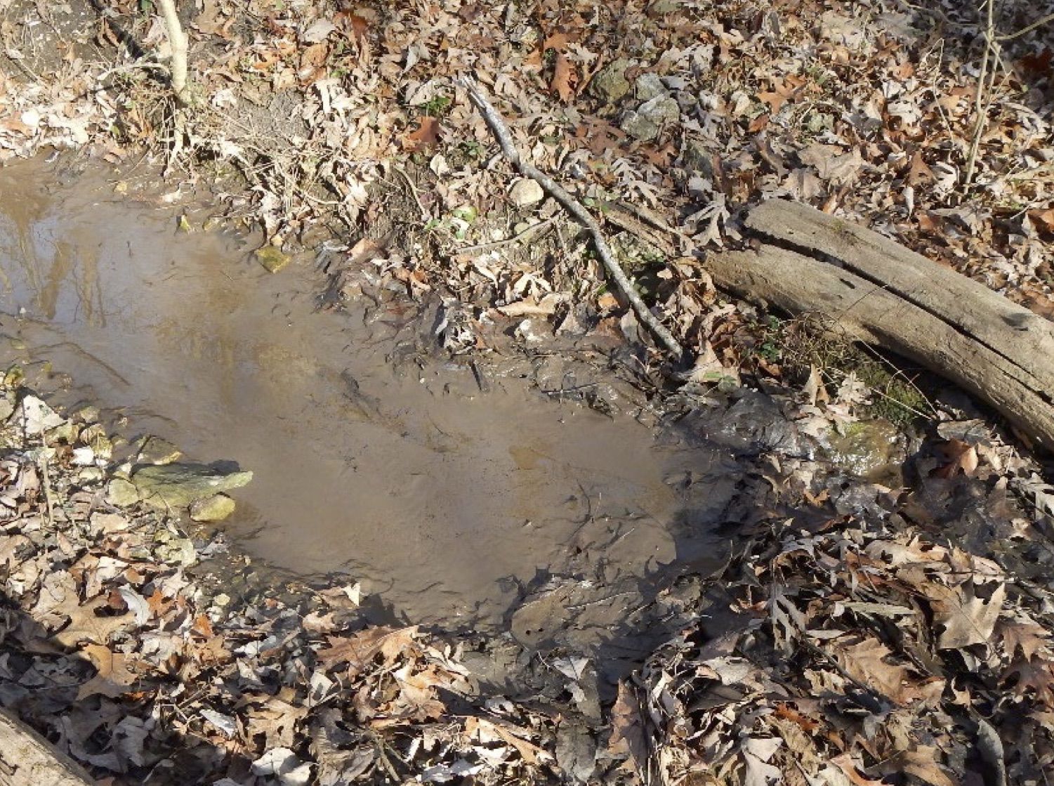 Sludge Buildup